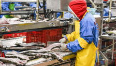 市各类食物平安办理人员开展培训超3万人次